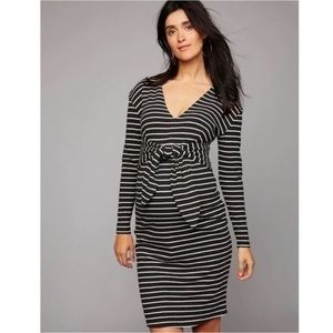 A Pea in The Pod Maternity Dress